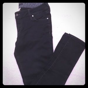 Decree Stretch Pant